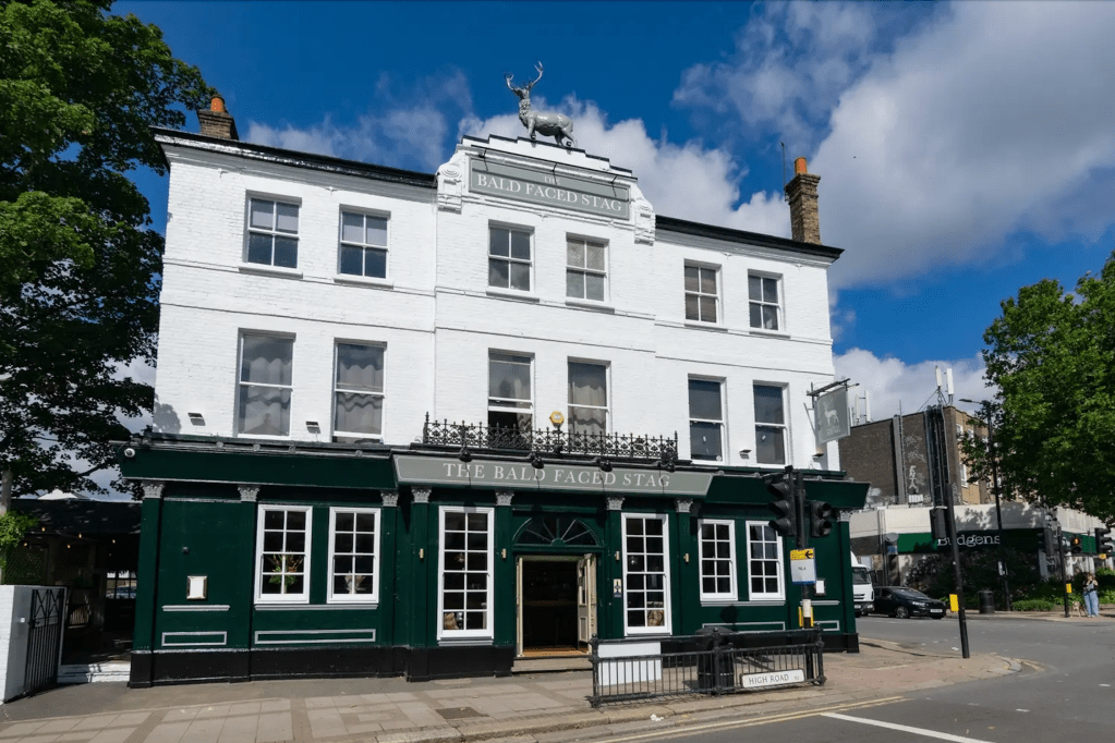 The Bald Faced&nbsp;Stag